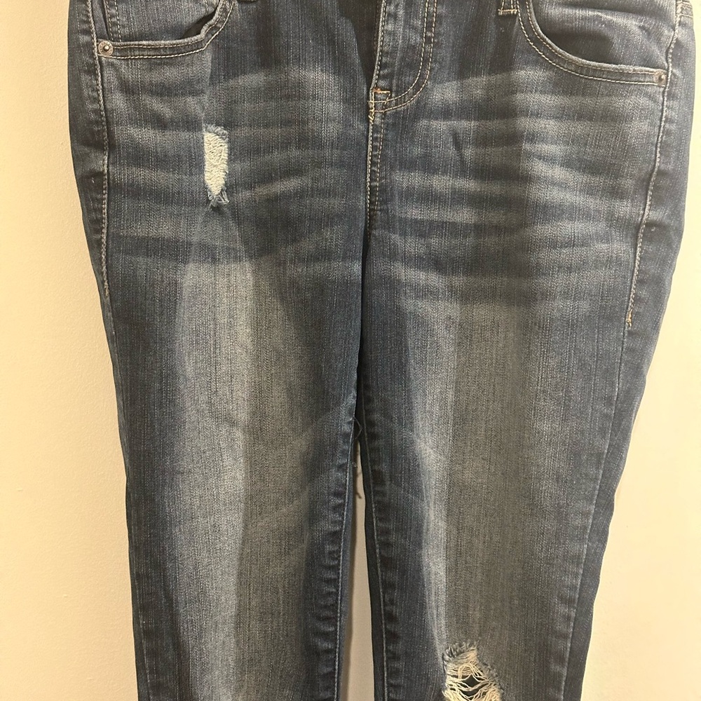 Torrid Premium Denim Jeans